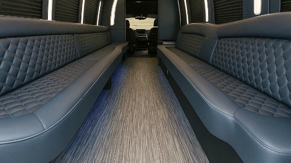 Interior of Ontario Party Bus Company's 30 Passenger Party Bus in Ontario